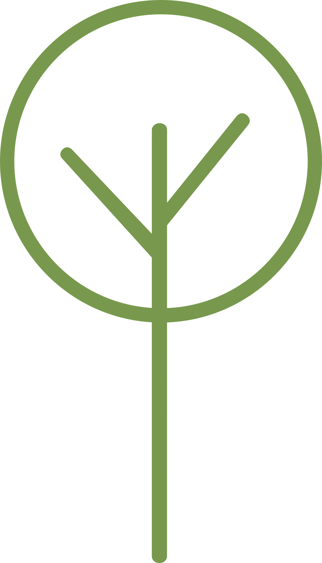 Tall Trees Labs